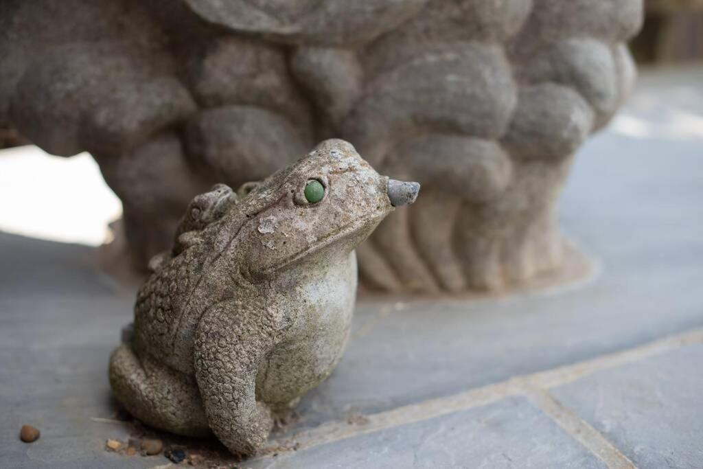 Frogs Bottom Retreat Faversham & Canterbury, Kent Buitenkant foto